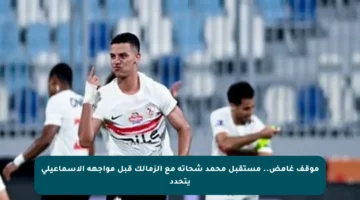 موقف غامض.. مستقبل محمد شحاتة مع الزمالك قبل مواجهة الإسماعيلي يتحدد